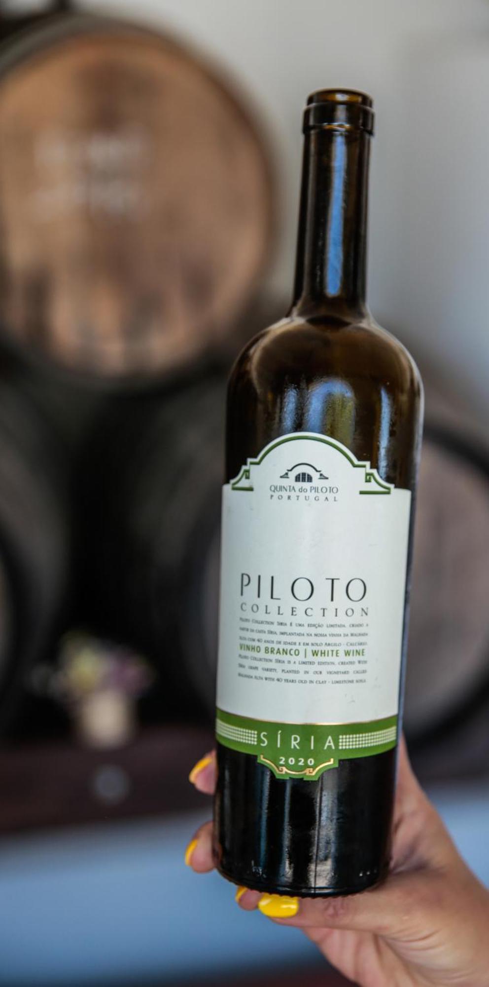파멜라 Quinta Do Piloto 게스트하우스 외부 사진
